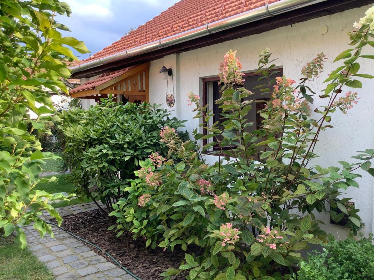 Magnolia Garden Apartment Mişcolţ Exterior foto
