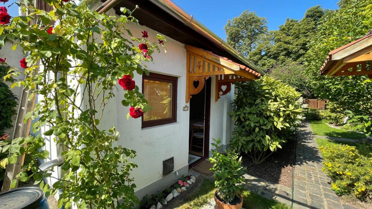 Magnolia Garden Apartment Mişcolţ Exterior foto