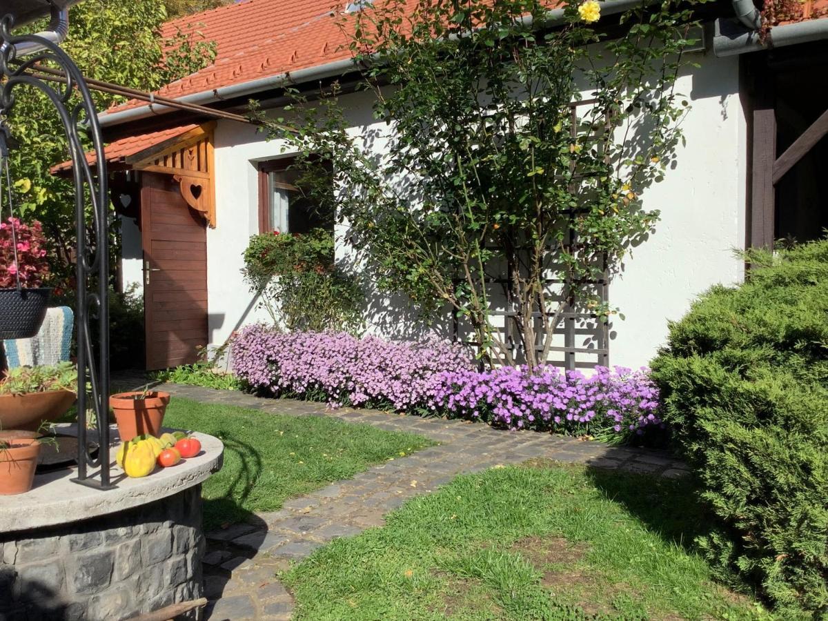 Magnolia Garden Apartment Mişcolţ Exterior foto