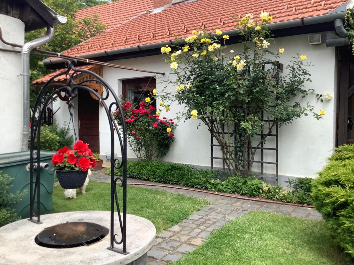 Magnolia Garden Apartment Mişcolţ Exterior foto